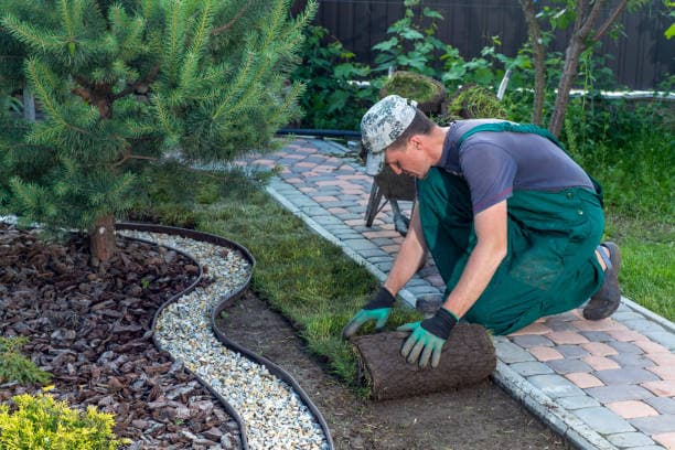 Landscaper maintaining a residential lawn and garden